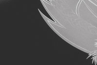 Banner 1 About